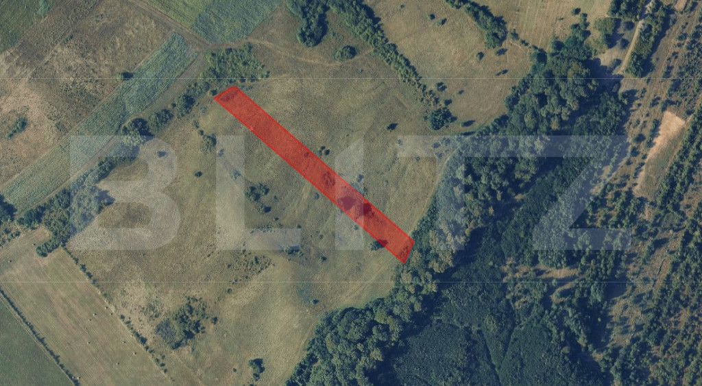 Teren extravilan de vanzare, 56 ari, zona Valea Stanelor