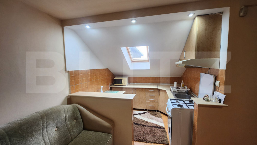 Apartament 1 camera, zona Valeria Peter Predescu