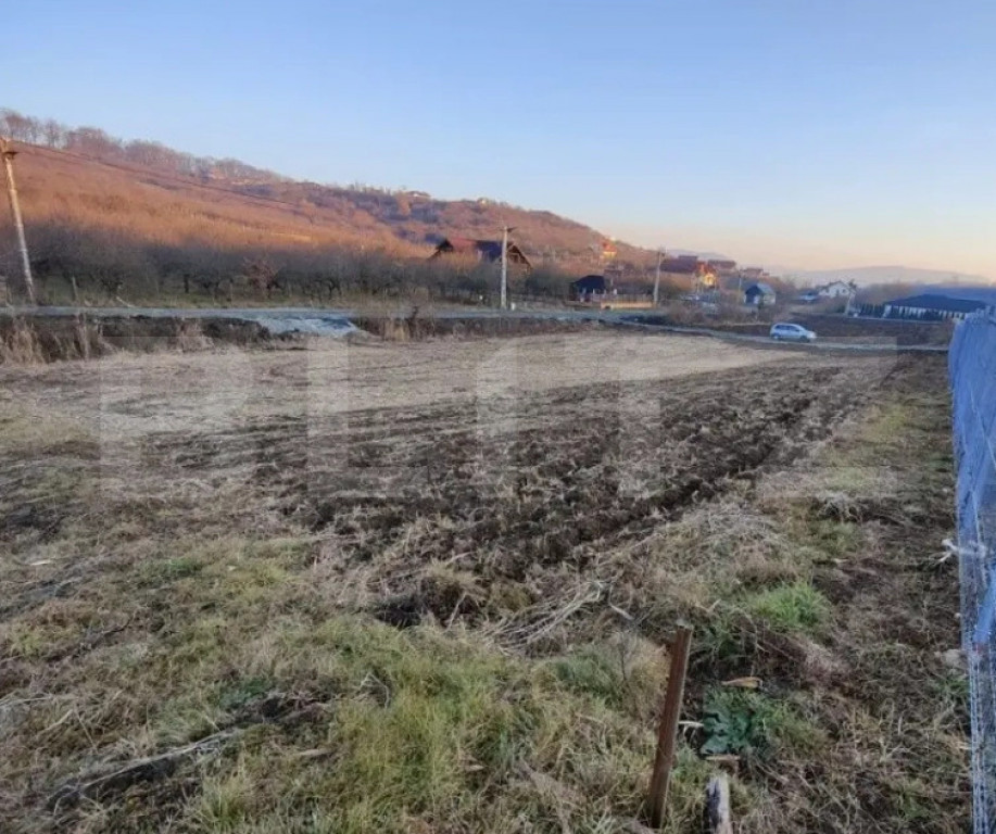 Teren intravilan 7,15 ari - construcție casă, zonă liniș