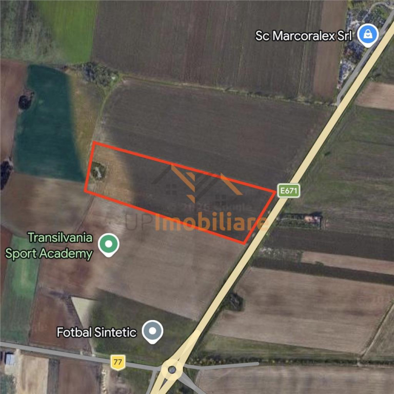 TEREN INTRAVILAN 24457 MP | 80 ML FRONT STRADAL | ORADEA | B