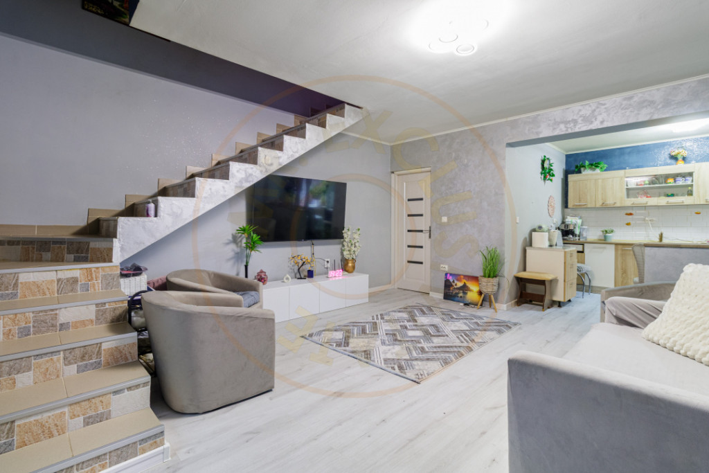 Casa 3 camere Dragomiresti principala