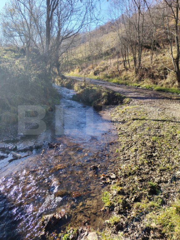 Vânzare Cabana Afacere la Cheie – 21 Locuri de Cazare, Băișoara