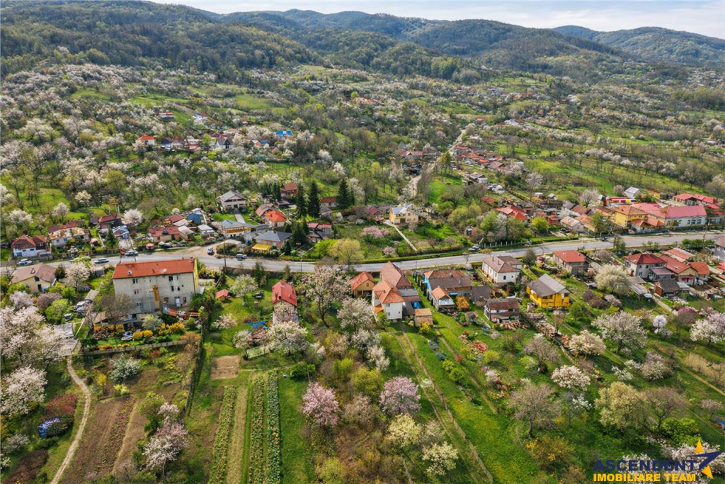 FILM! Casa pe domeniu de 3.117 mp, Viperesti Buzau