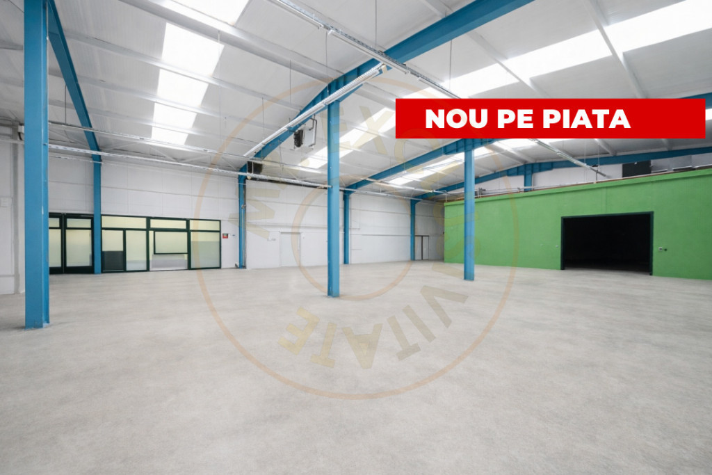 Hala industriala / spatiu comercial – VANZARE – DN 65B ?