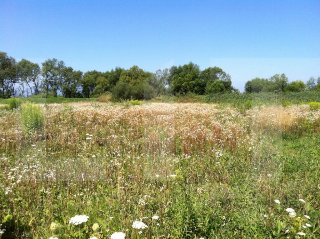 Teren intravilan Sacalaz