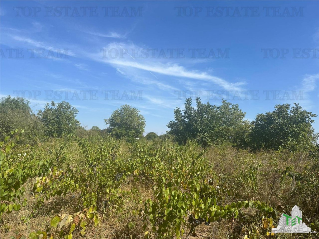 Teren intravilan construibil 1042 mp, in Ilfov-Branesti,ide