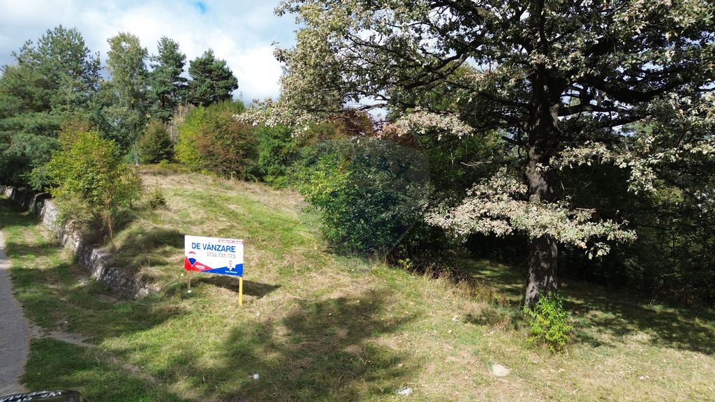 De vânzare – Teren 5.193 mp, pășune parțial împăd...