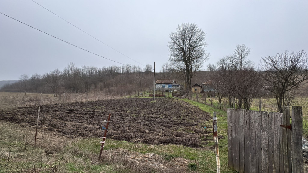 Teren 2.038 mp + Casă 50 mp de vânzare – Sat Luncsoru, C