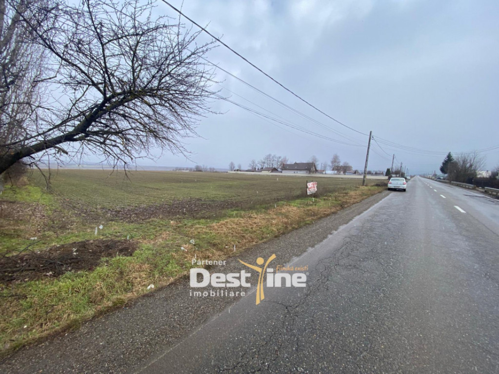 Teren de vanzare Gura Vaii 27.500 Euro 7639MP