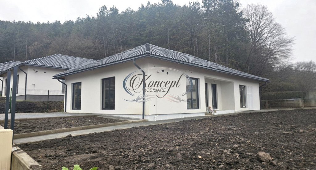 Casa individuala pe un nivel, in Popesti