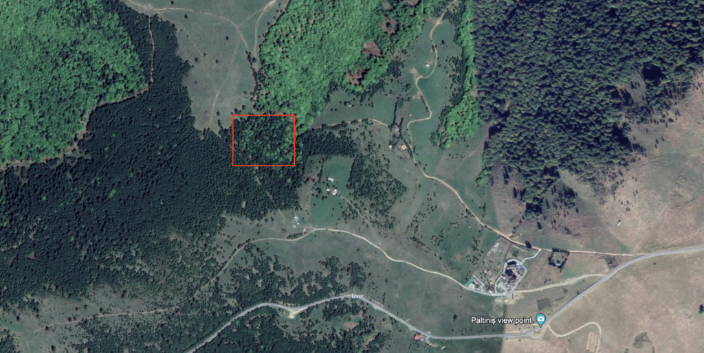 Teren extravilan 11000mp in Paltinis