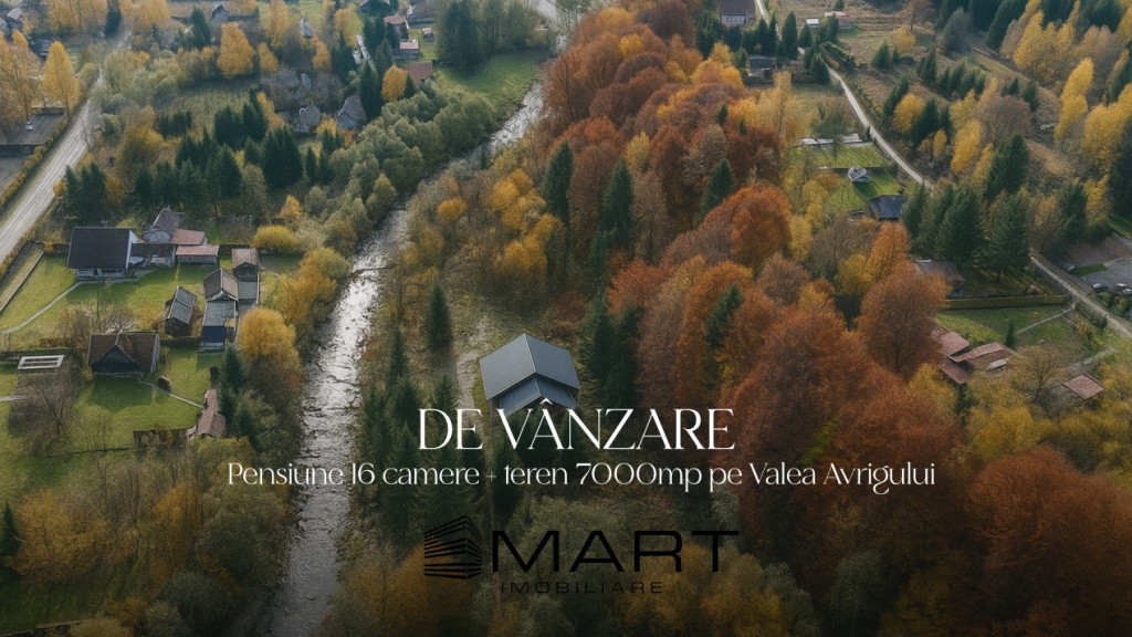 Pensiune 16 camere, teren 7000mp, Valea Avrigului