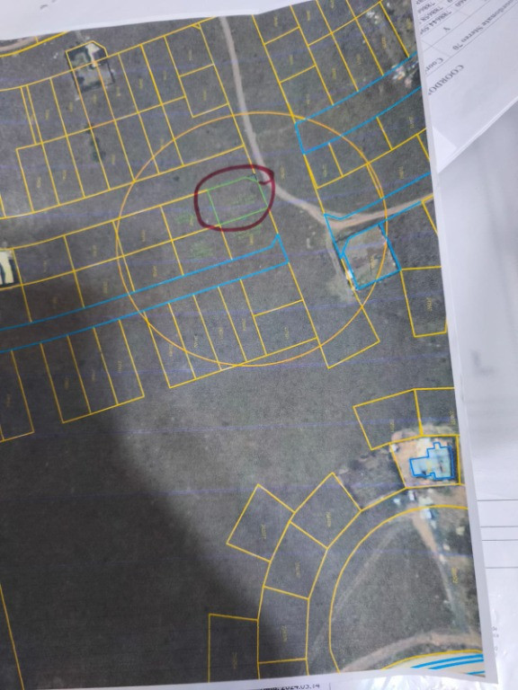 Teren Veterani/ colt