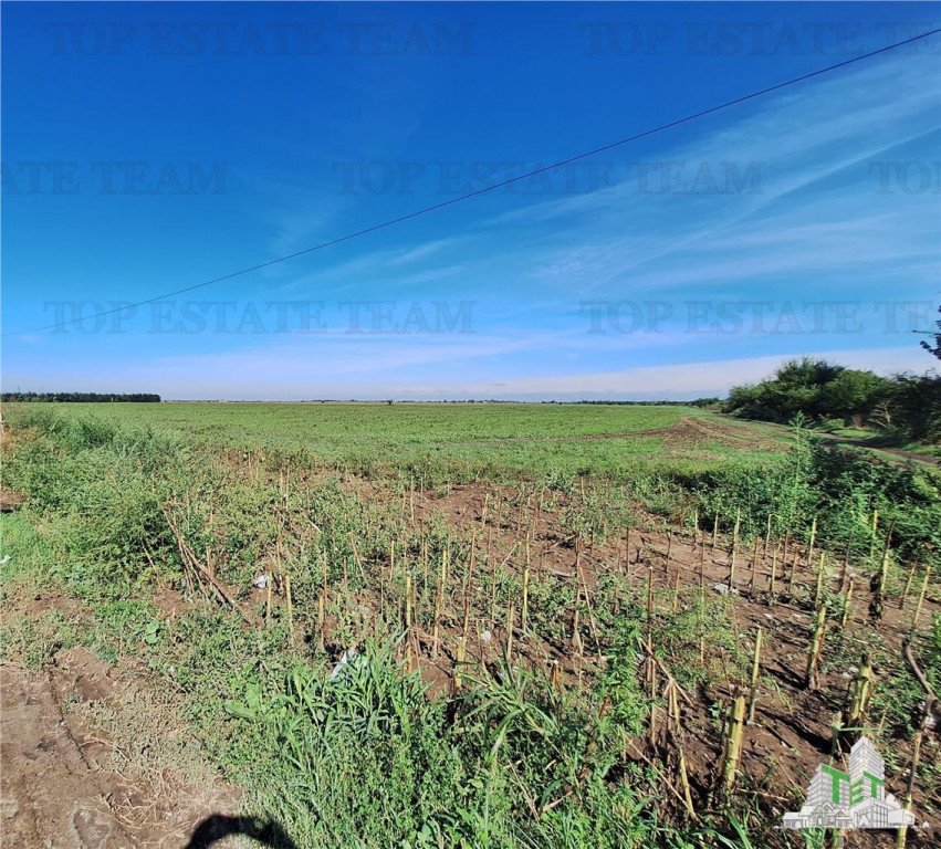 Teren extravilan -Braila - Soseaua Focsani -