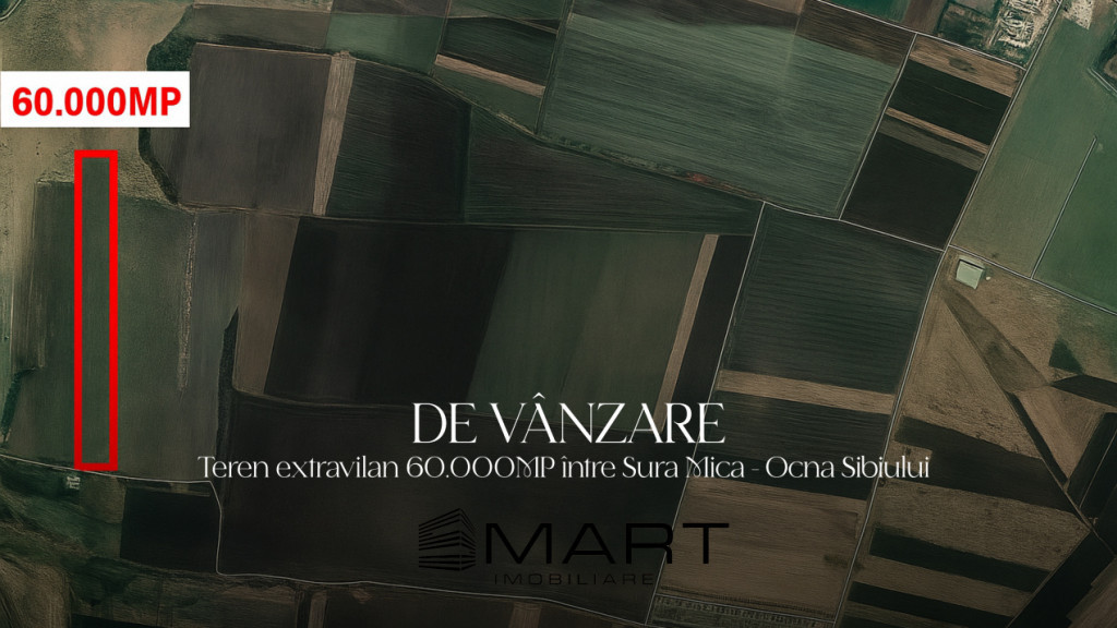 Teren agricol 6ha Ocna Sibiului