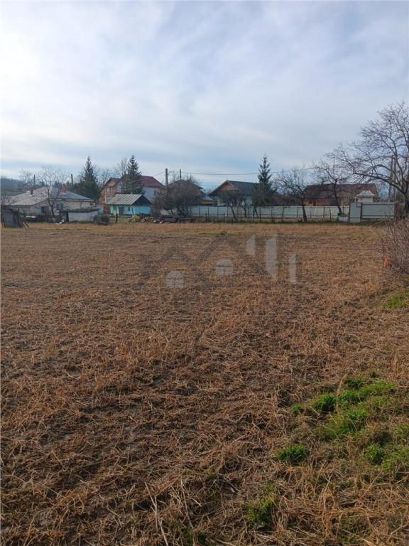 Teren 3500mp. Paun Bucium la asfalt cu toate utilitatile