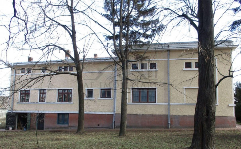 Oportunitate Investitie - - Asociere