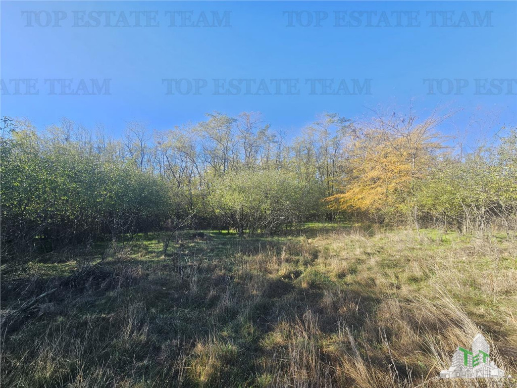 SUPER-PRET Teren 1ha intravilan intre A0, padure si raul Sab