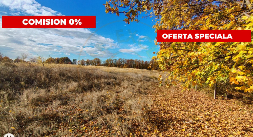 Teren Mosoaia 10200 mp intravilan Arges