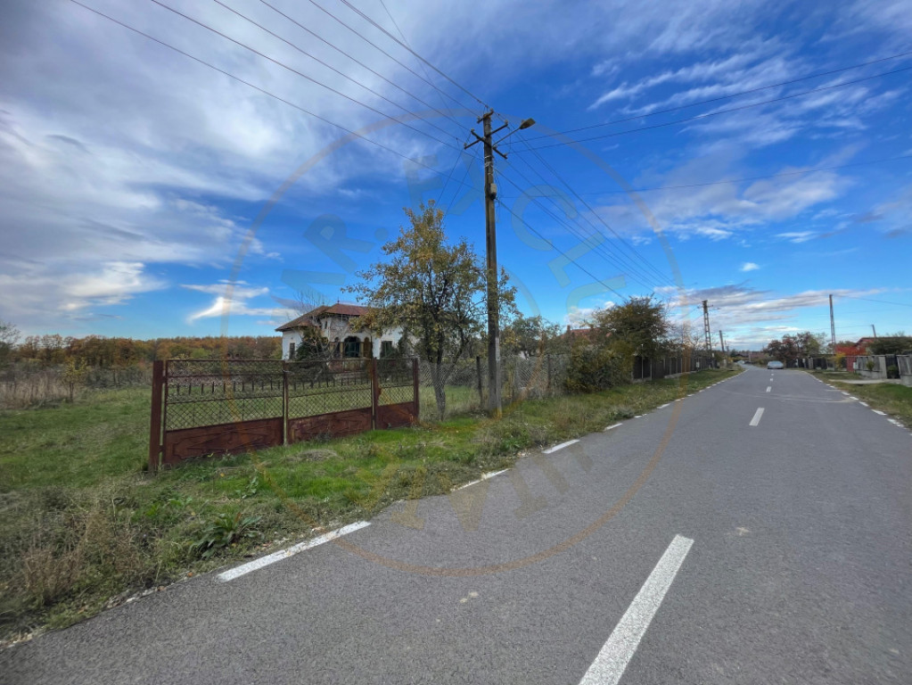 Teren 6975 mp Mosoaia Arges