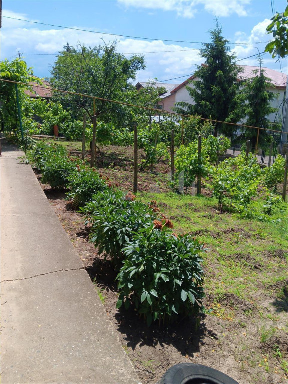 Copou Vila P M Su.165mp Teren 1000mp vecin cu limita Gradina