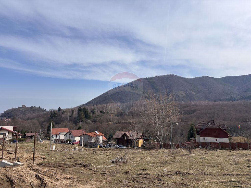 Teren 1,697mp Cisnadioara / Strada Silvicultorilor