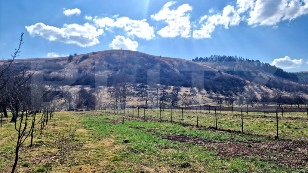 Teren intravilan, 600mp, front 6m, utilitati in zona, Luna