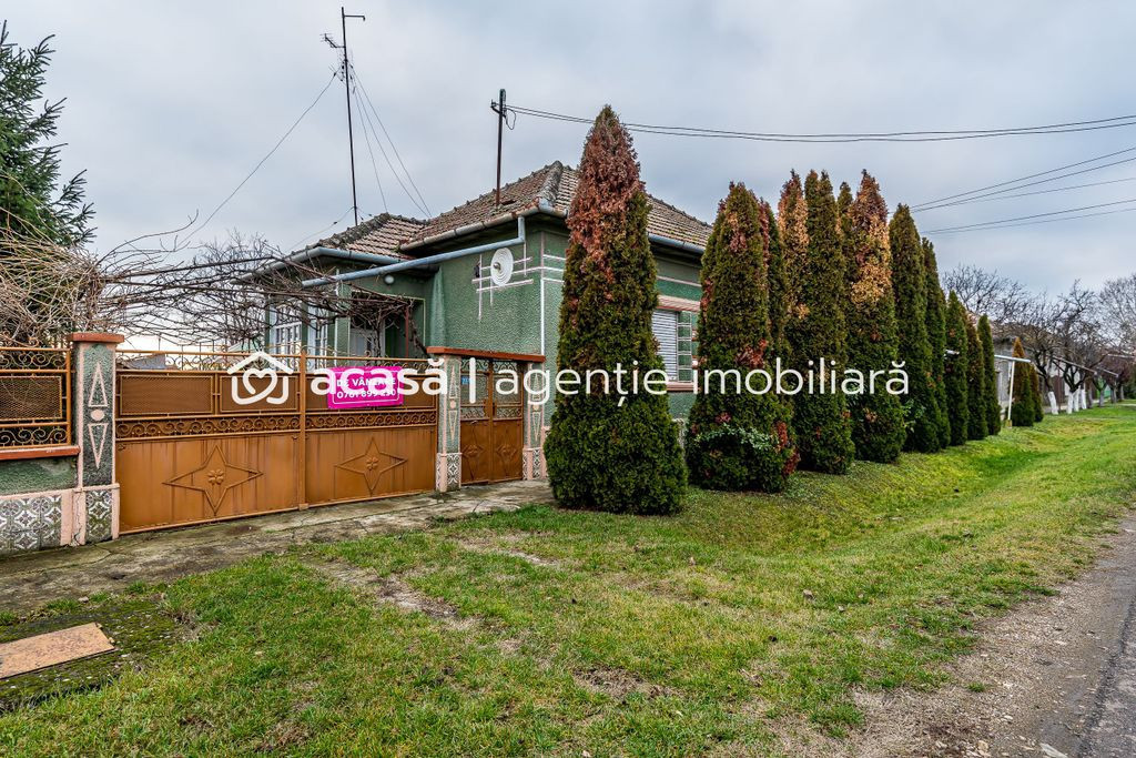 Casă + livadă tânără + curte 2.500 mp în Dorobanți