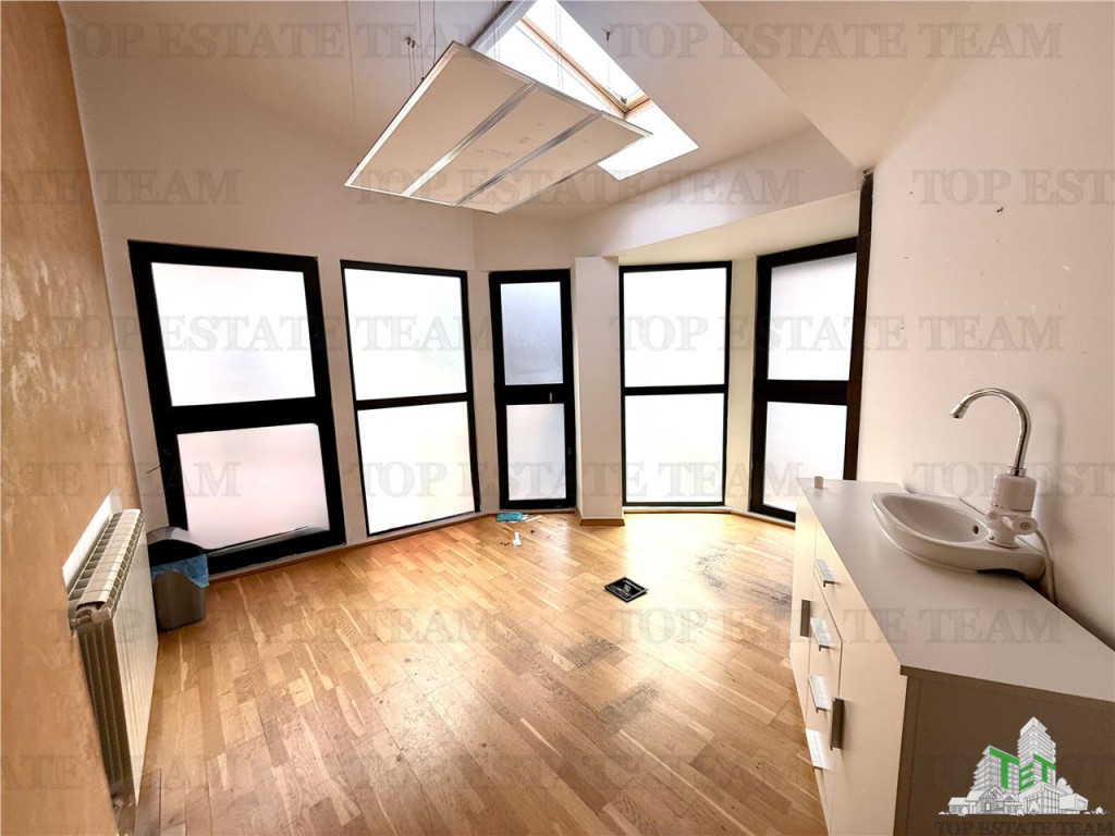 Vila de închiriat cu 7 camere ultracentral Piata Victoriei