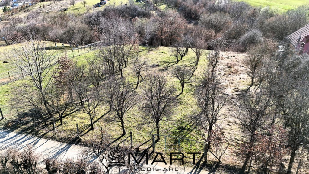 Teren intravilan 1000mp Tropinii Noi