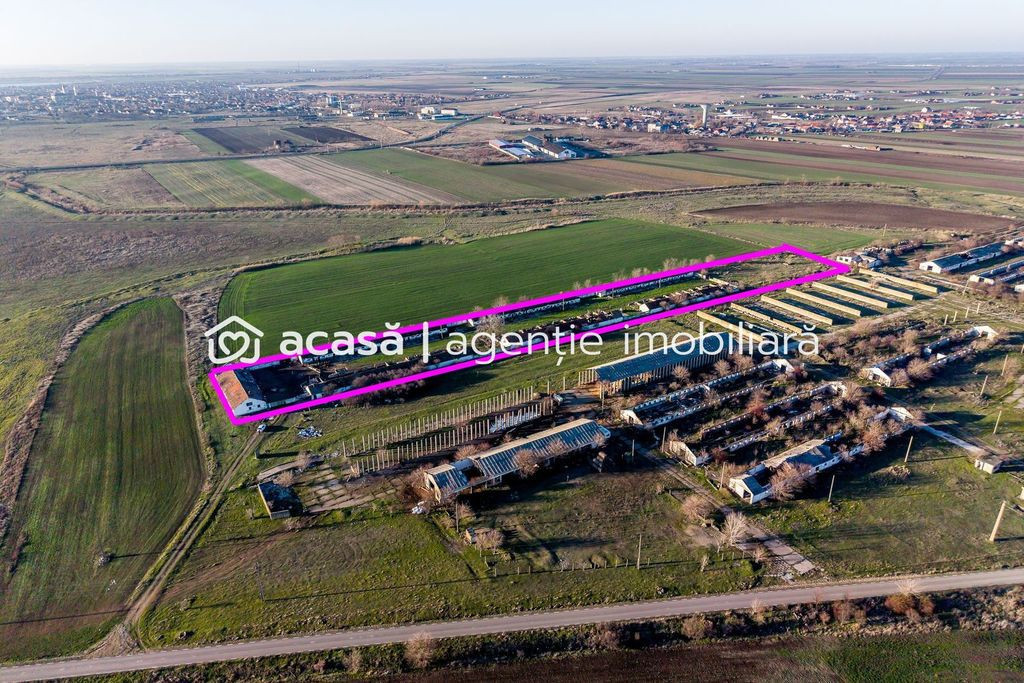 NĂDLAC | Teren 1.15 HA lângă Autostradă | 2.500mp Hale