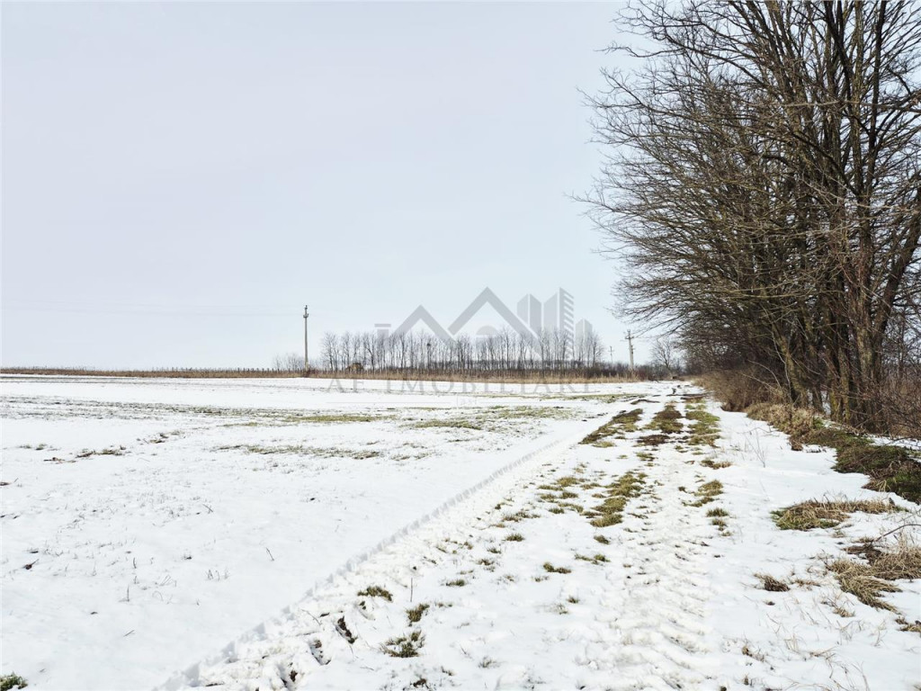Teren intravilan de la 11 km de Palatul Culturii Iasi