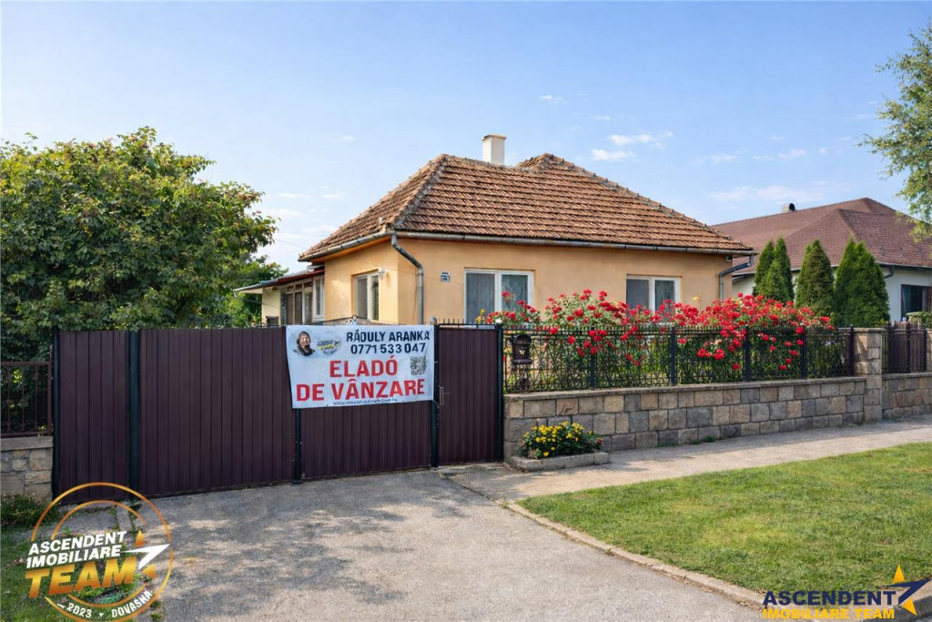 FILM3D! Casa ospitaliera,curte si gradina asortata,arie lini