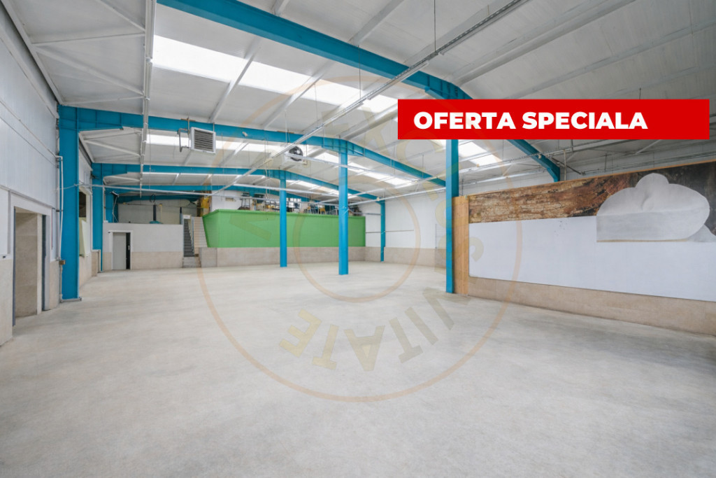 Hala industriala / spatiu comercial – VANZARE – DN 65B ?