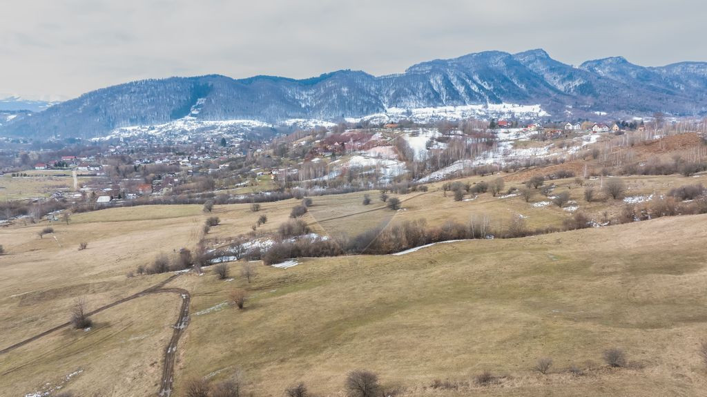 Teren Intravilan Sohodol 5 km Bran 10000 Mp