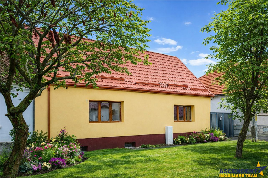 Cocheta casa renovata vila spatioasa, domeniu de 1.500mp,San