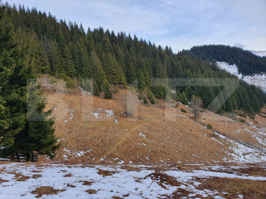 Teren cu potențial investițional major – Fundata, vecin?