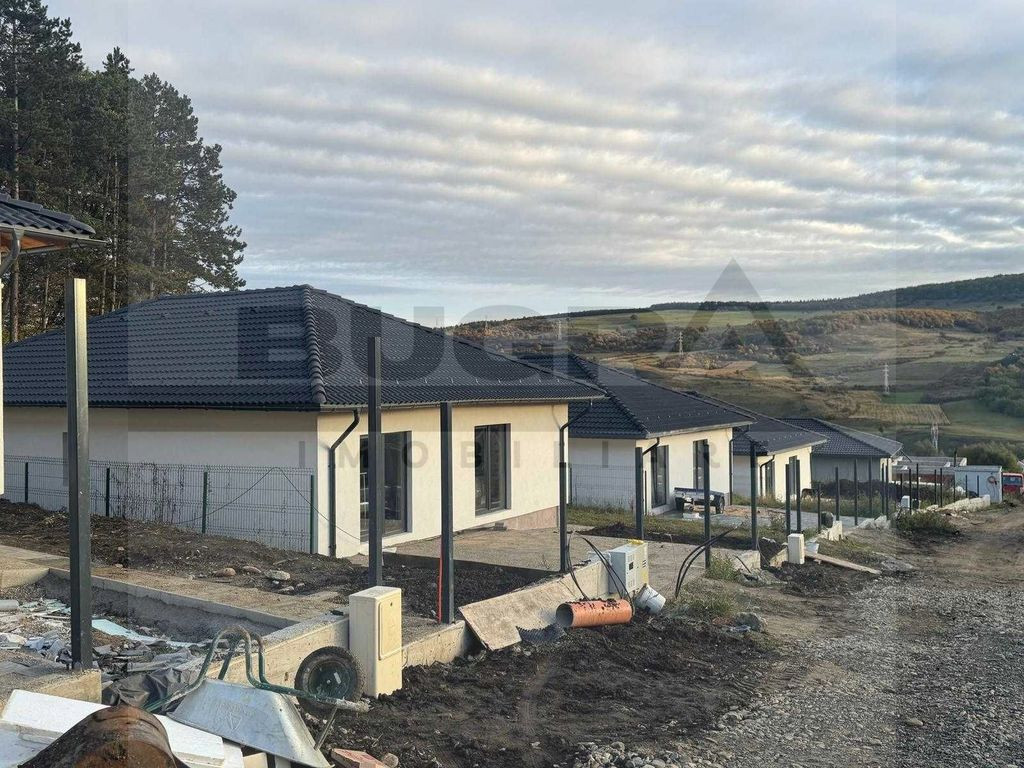 Casa individuala pe un singur nivel, Popesti