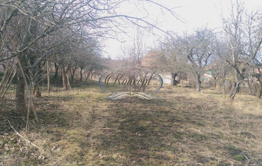 Teren pentru casa sau duplex in sat Gheorgheni