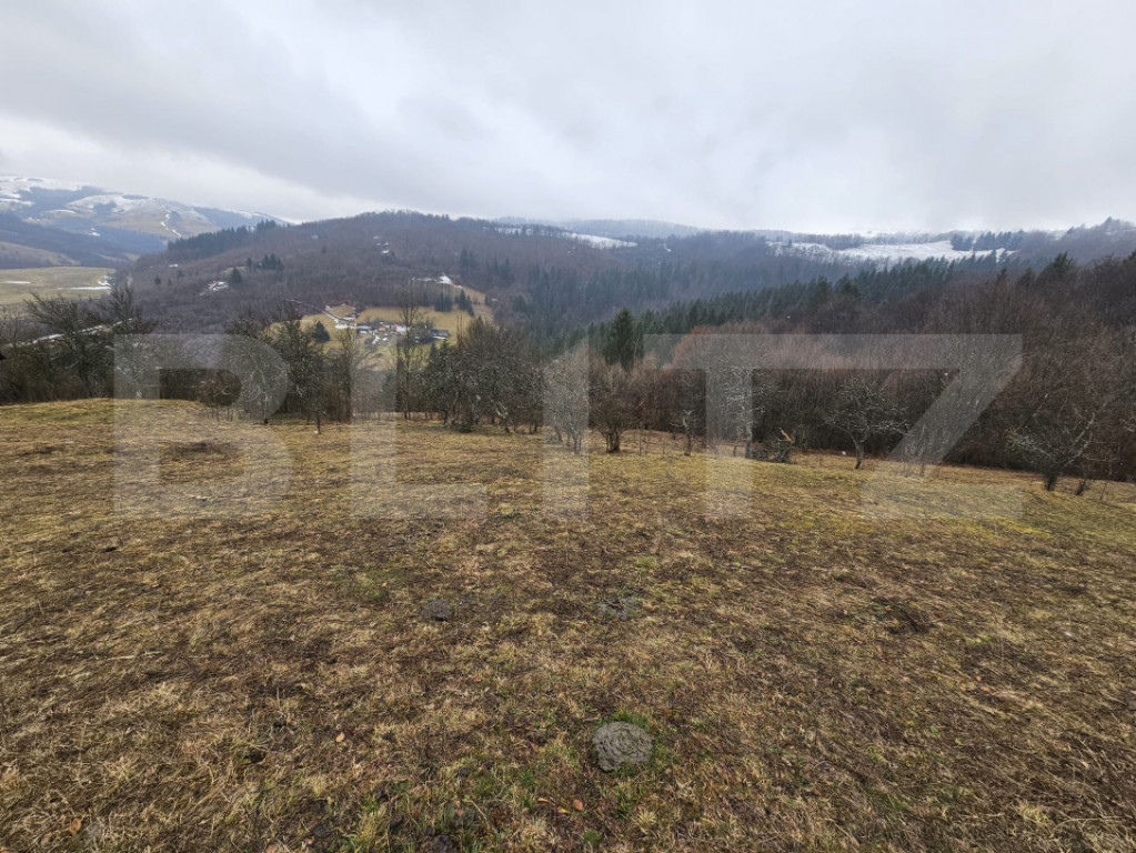 Teren 7.513 mp, cu priveliște panoramică, Dăroaia, comuna