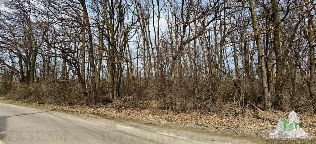 Teren / Padure in Corbeanca - Radarului