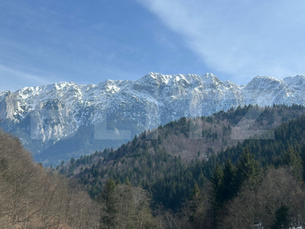 Teren exceptional zona Plaiu Foii Zarnesti