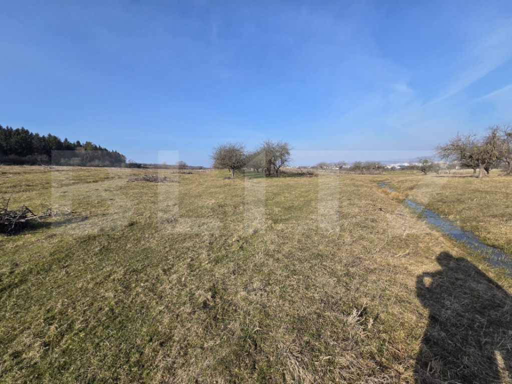 Teren intravilan de vânzare – 4.200 mp – Zona Restauran