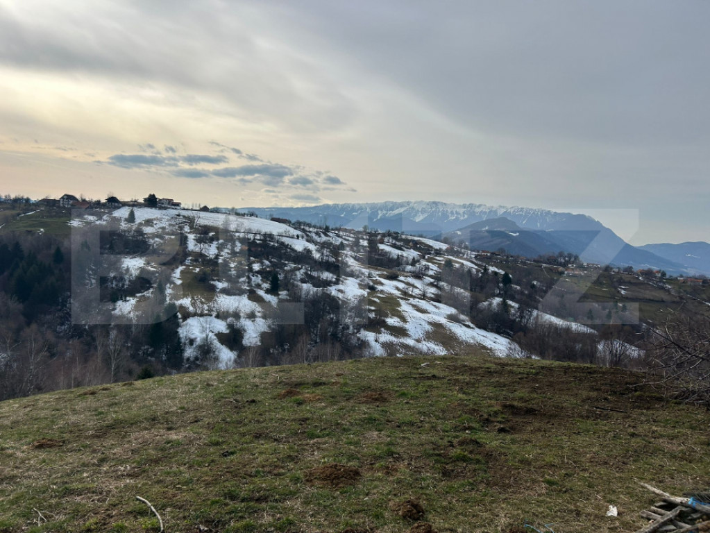 COMISION 0% | Teren 2,000mp Bran | Strada Clincea |