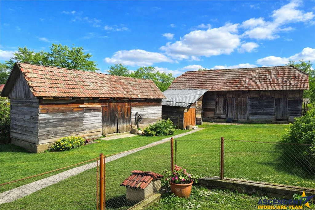 Tur 3D!4.300 mp teren, pomicultura casa traditionala, anexe
