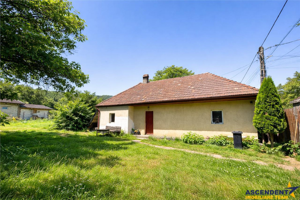 FILM Tur 3D! Casa cu gradina, pomi fructiferi, fantana, Zago