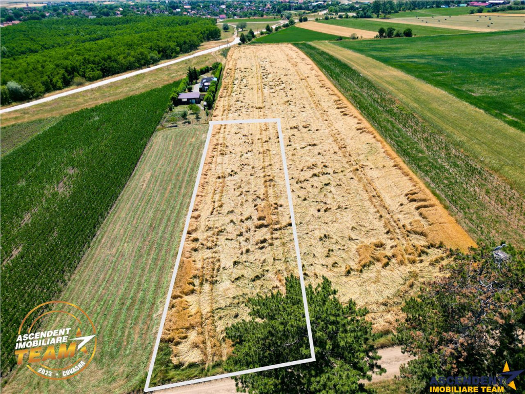 FILM! Teren extravilan, Valea Crisului, Covasna