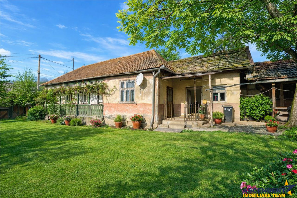 FILM! Casa si anexe, pe domeniu de 6.221mp, livada pomi fru