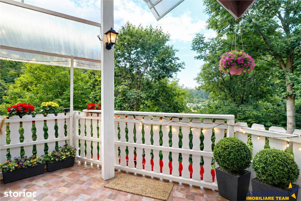 3D! Casa autentica,5.025 mp teren,in spectacolul montan al C