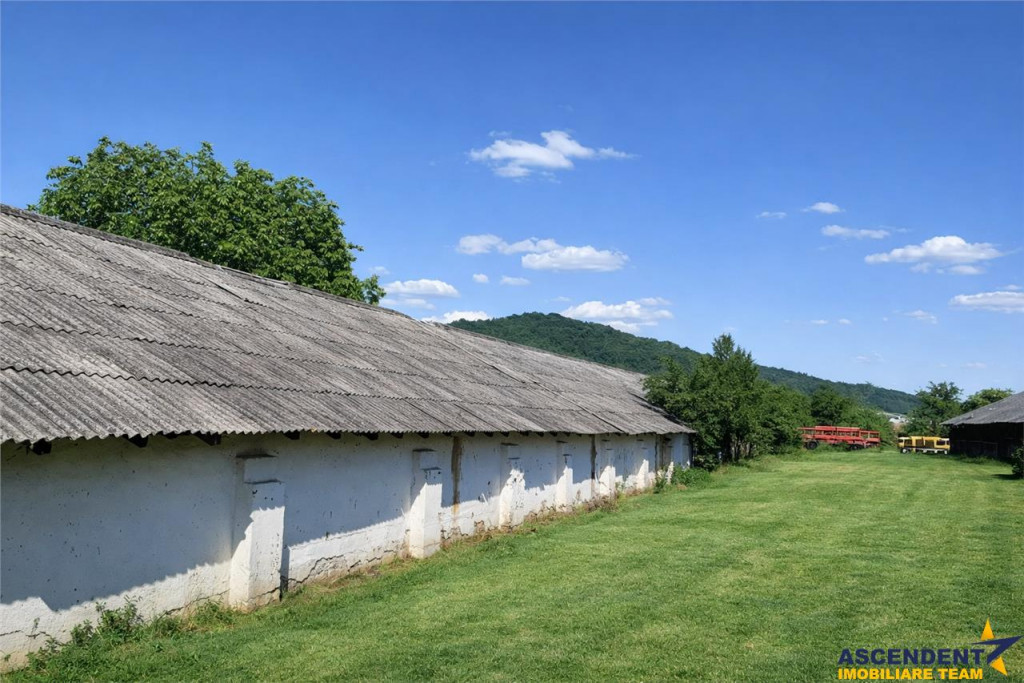 Spatiu Industrial multifunctional: productie, depozitare,log